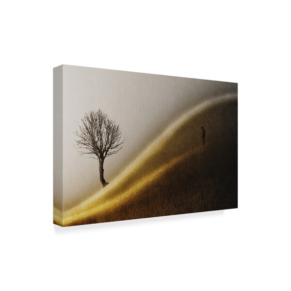 Helge Andersen 'Golden Hills' Canvas Art,12x19